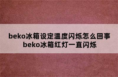 beko冰箱设定温度闪烁怎么回事 beko冰箱红灯一直闪烁